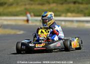 DSC_7186 copie